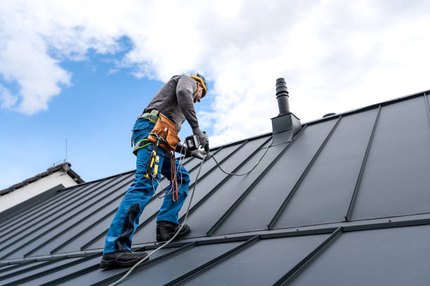 Best Skylight Installation and Repair  in Manchester, MI